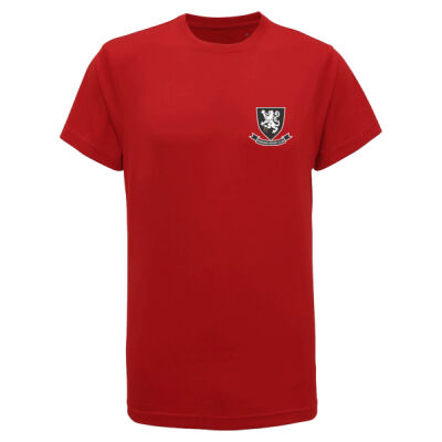 Away Match Shirt (Adult) Thumbnail