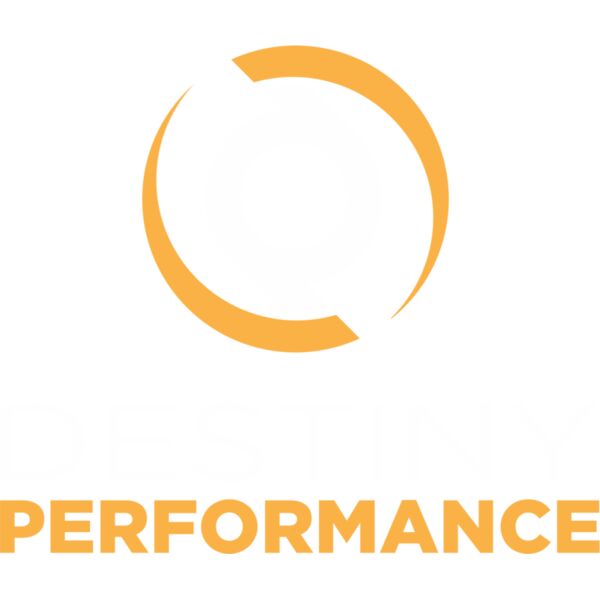 Destiny Performance Thumbnail