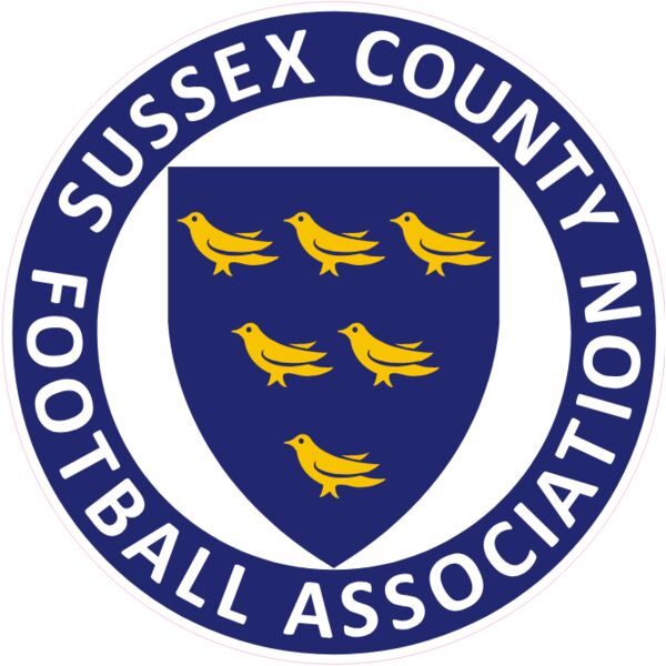 Sussex County FA flag print Thumbnail